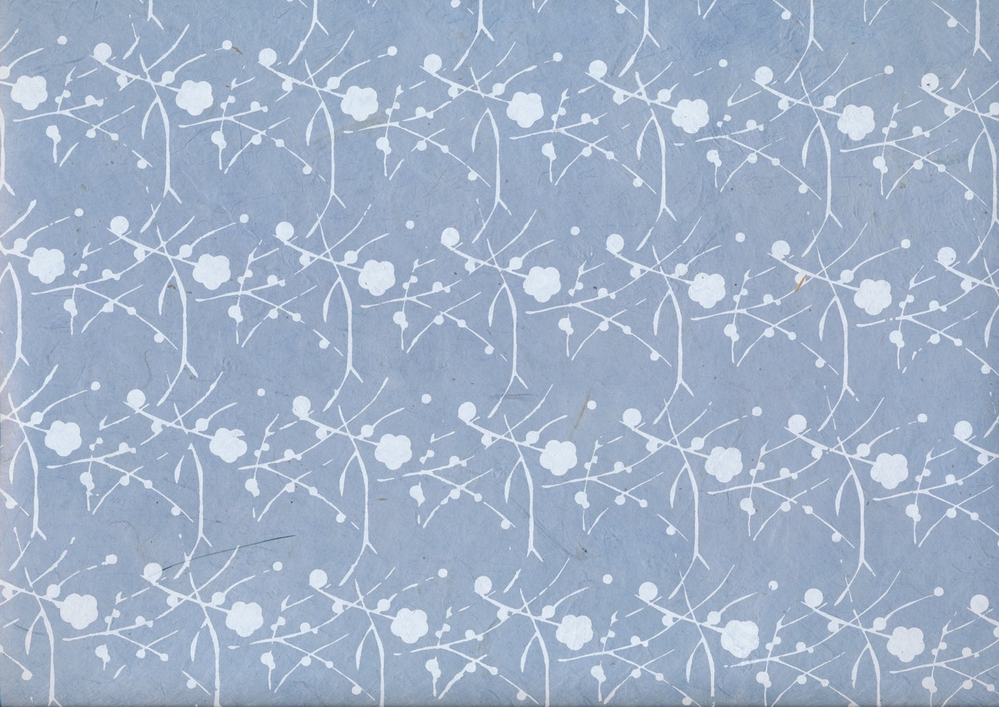 Lokta Paper (whole sheet)