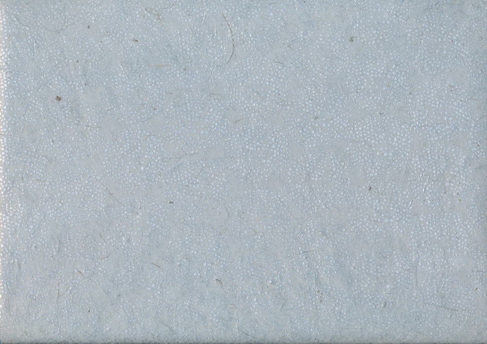 Lokta Paper (whole sheet)