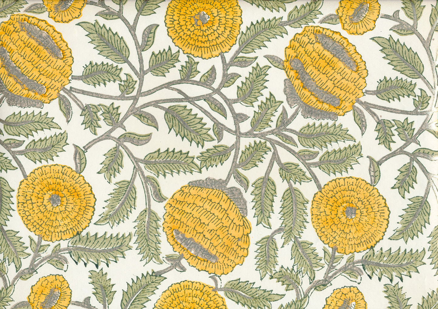 Papier coton 164