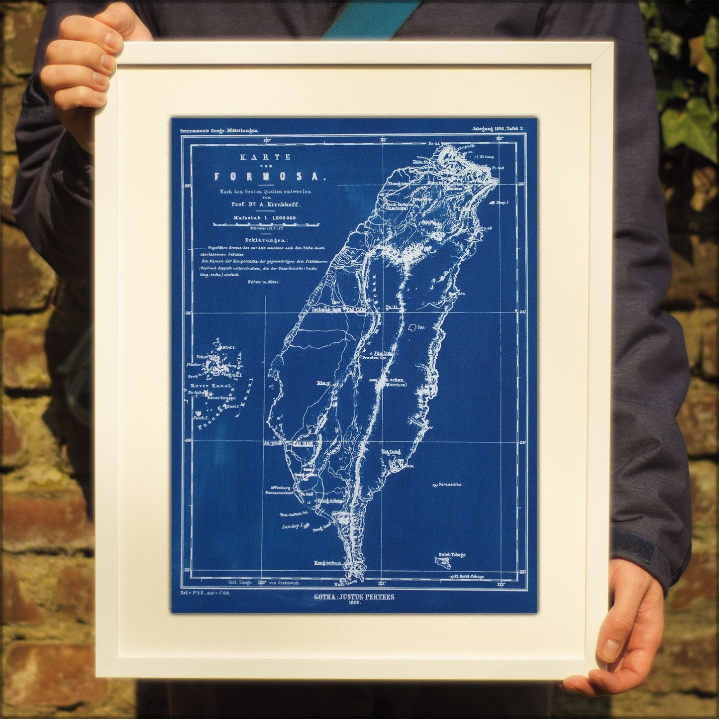 Cyanotype Formosa - ollilypaperware