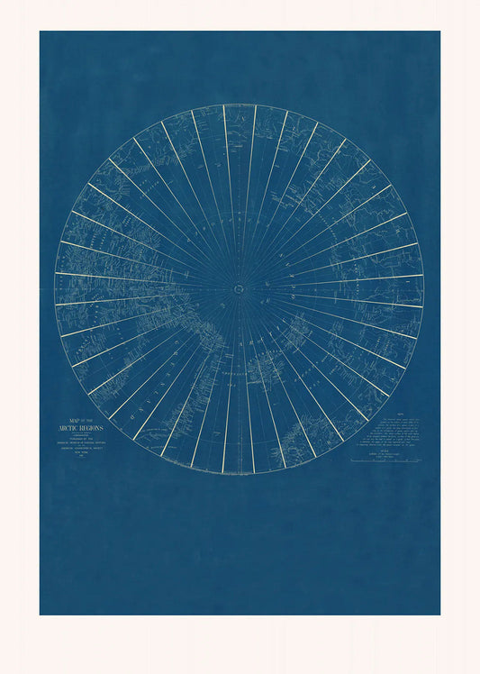 Anatomie Poster