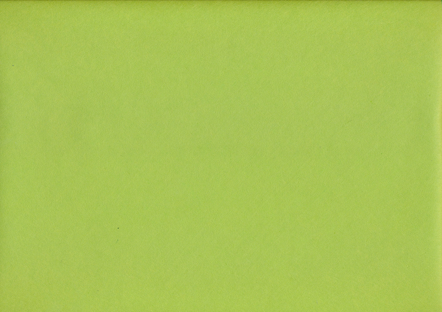 Awagami Mingeishi Papier vert printemps