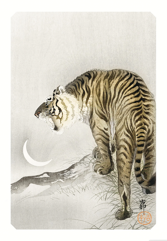 Tiger-Poster (A3)