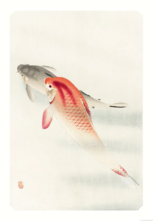 Fischposter (A3)