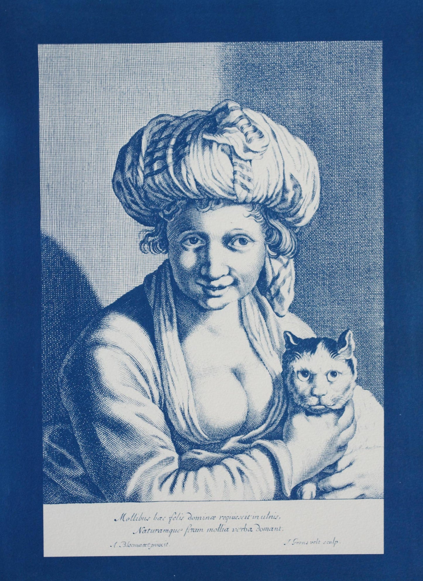 Cyanotype Cat - ollilypaperware
