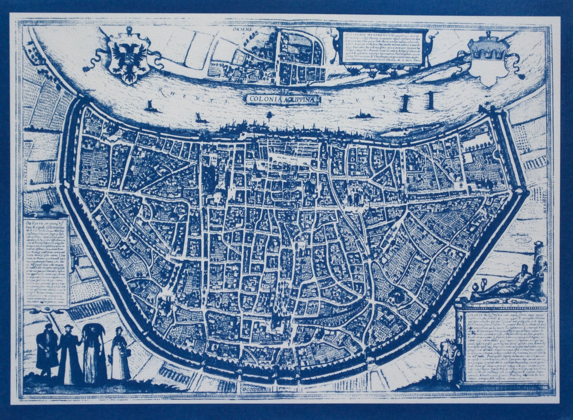 Cyanotype Cologne - ollilypaperware