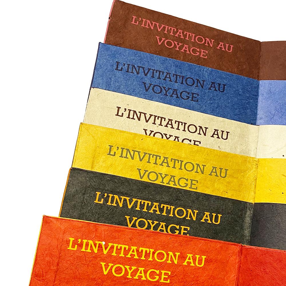 Baudelaire-Notizbuch