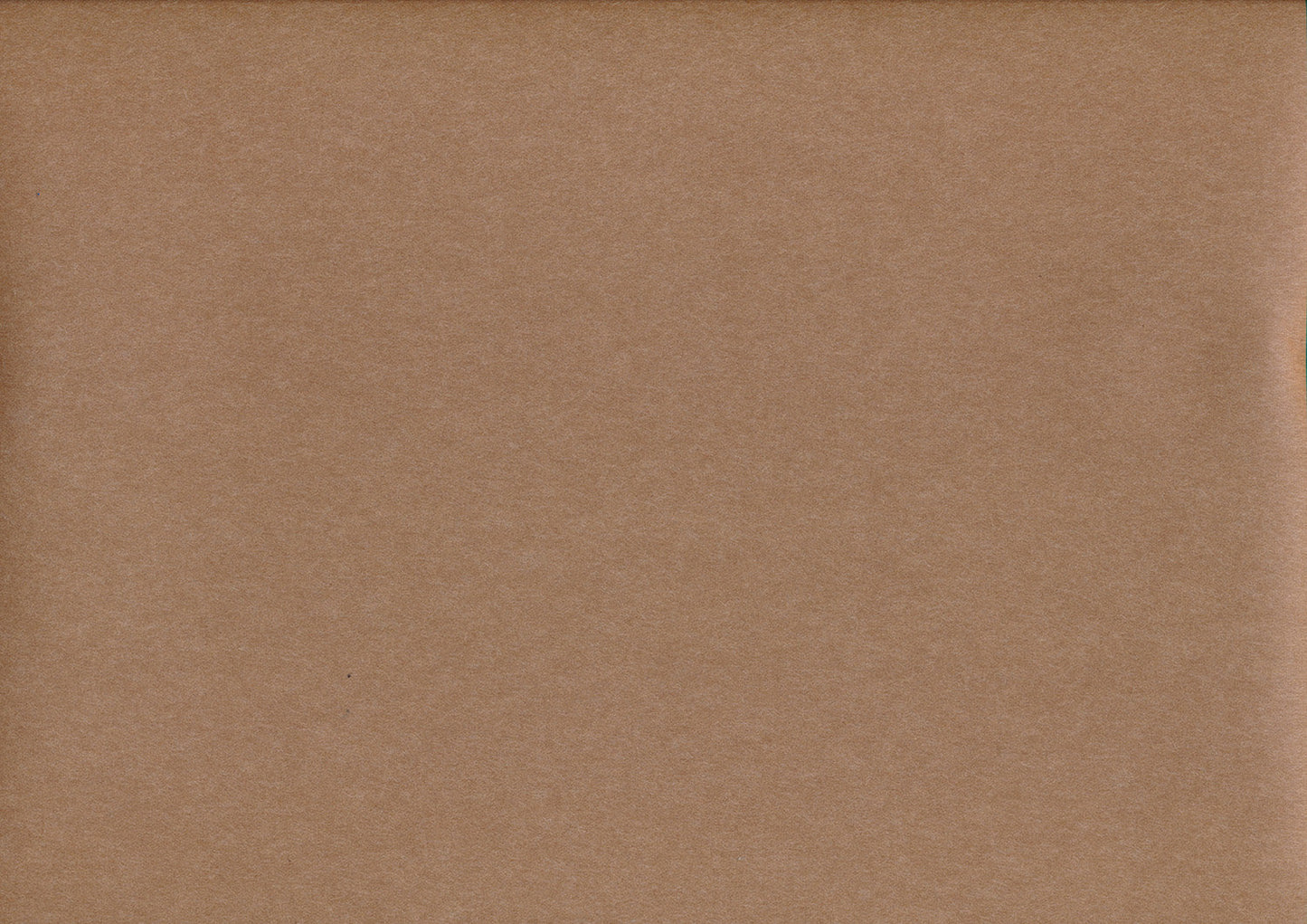 Satogami marron castanien