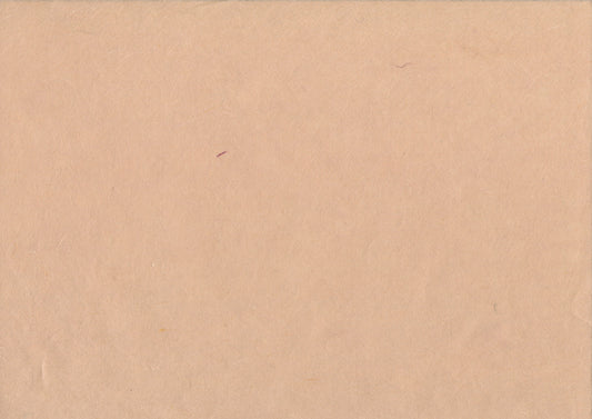 Hanji Paper beige - ollilypaperware