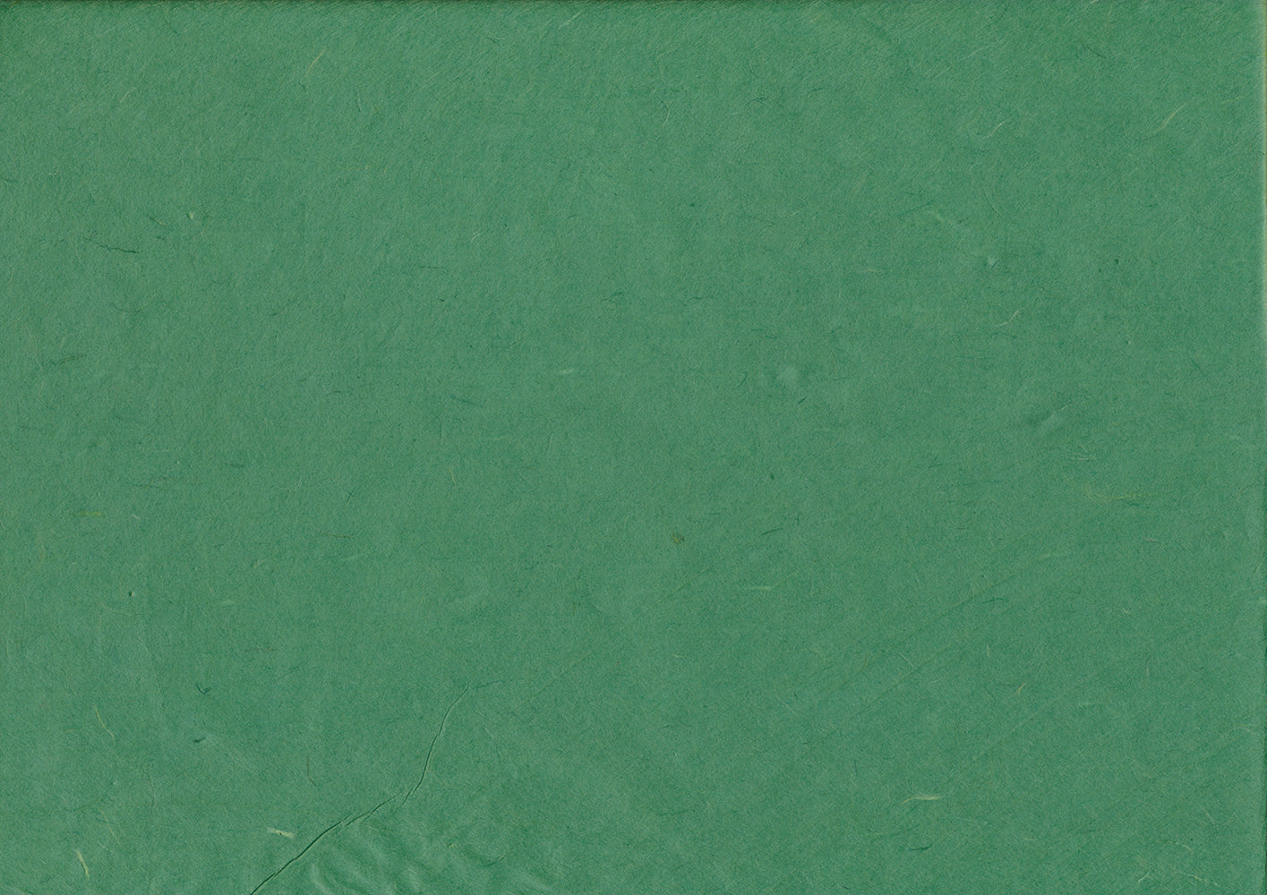 Hanji Paper dark green - ollilypaperware