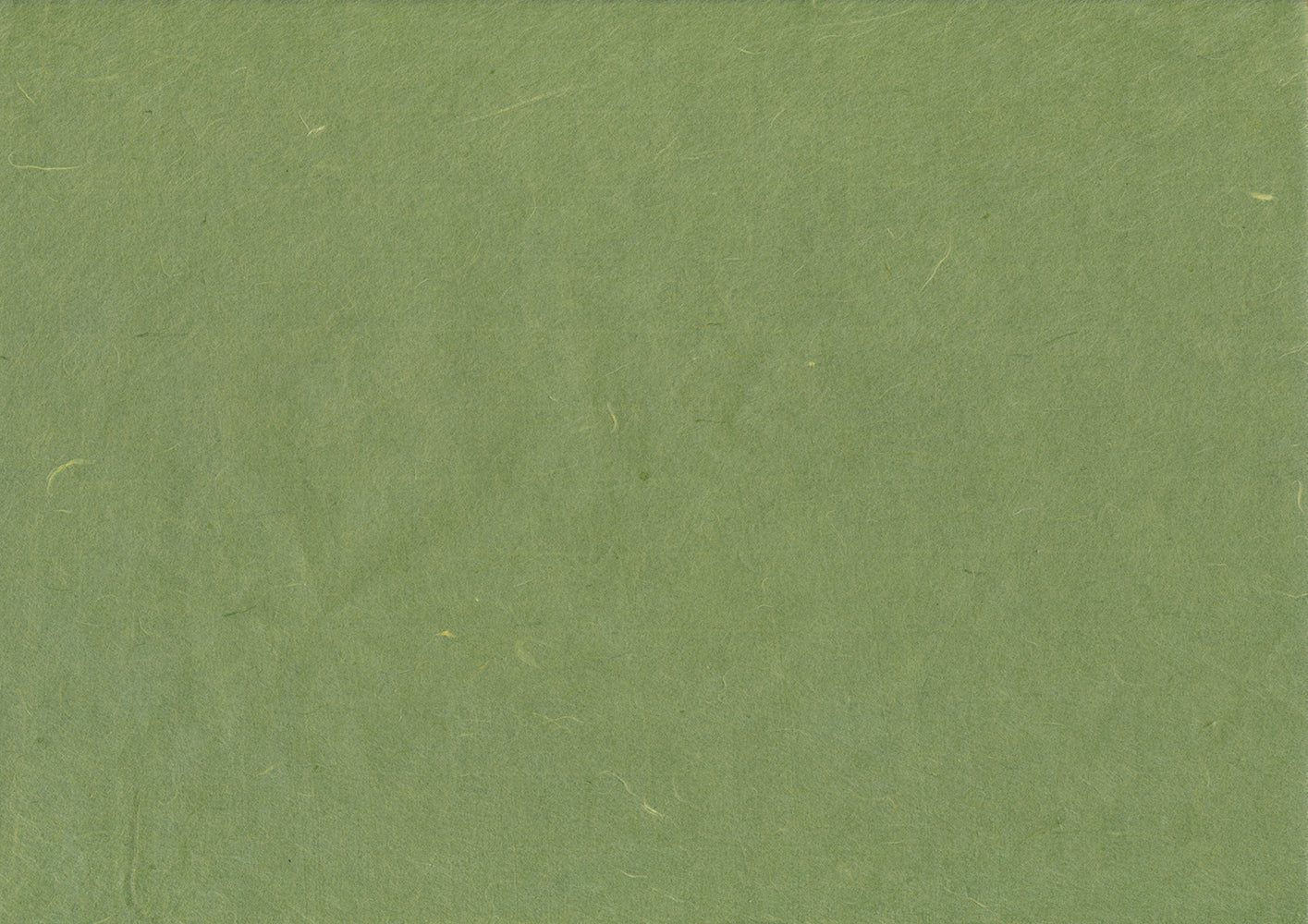 Hanji Paper olive-green - ollilypaperware