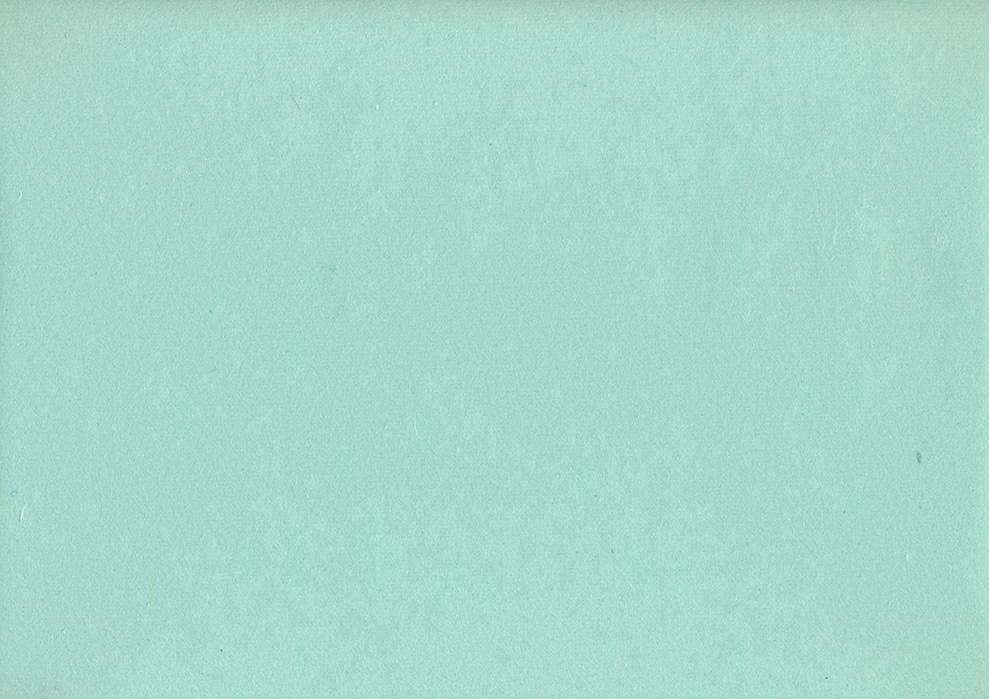 Kozo Paper Mint - ollilypaperware