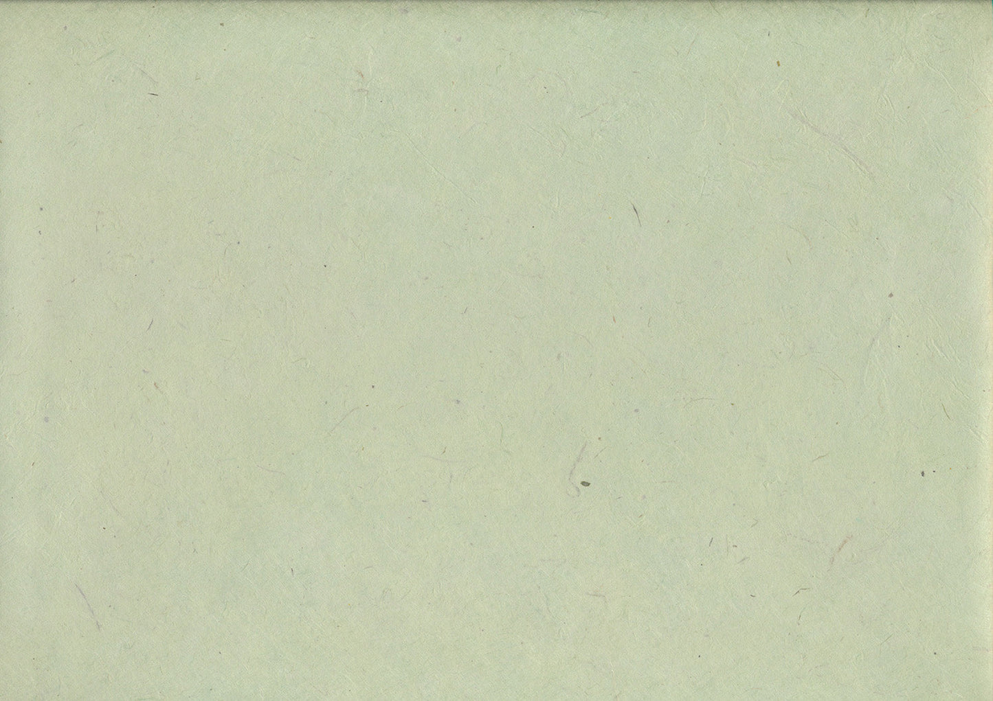 Papier Lokta 146 menthe (20-25gsm)