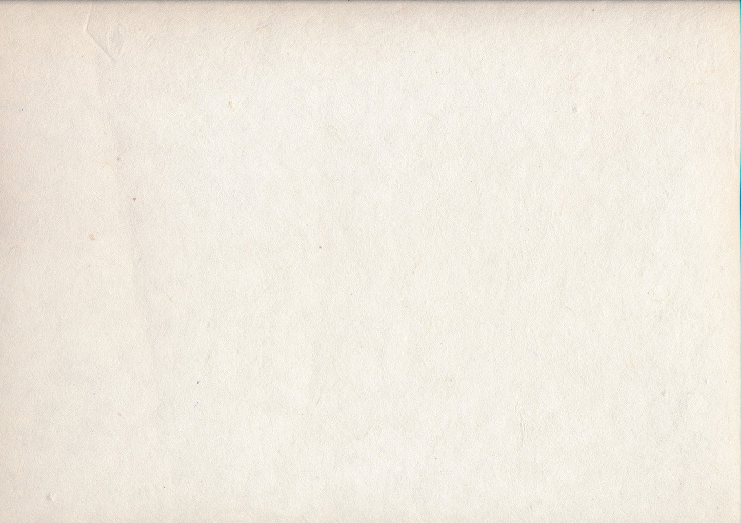 Papier Lokta 271 blanc cassé (80g)