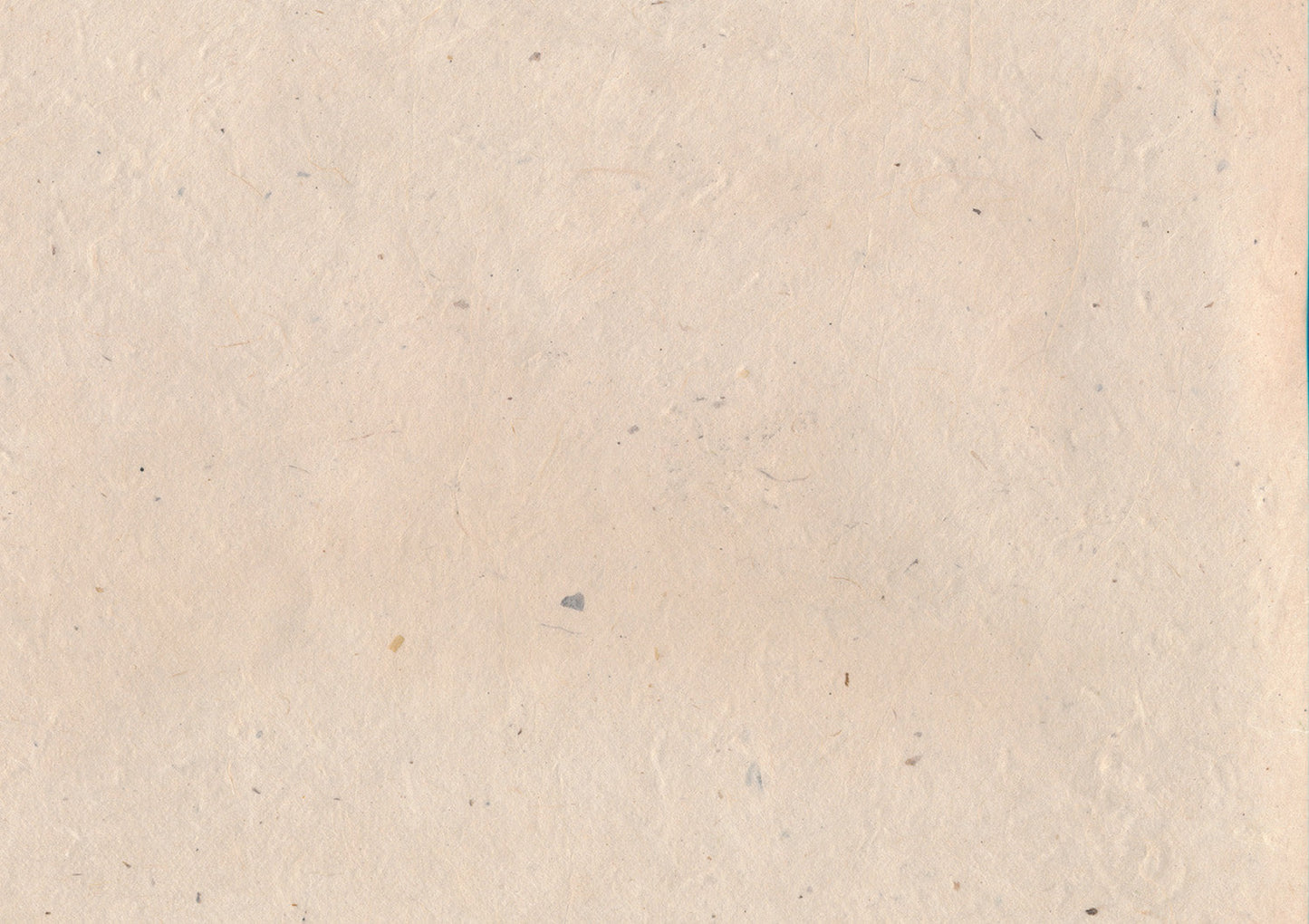 Lokta-Papier 241 cremeweiß (20-25 g/m²)