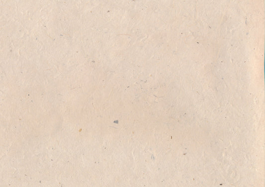 Papier Lokta 241 blanc cassé (20-25 g/m²)