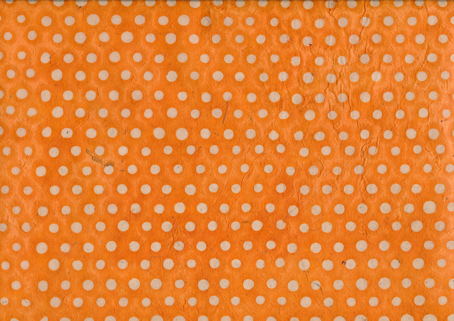 Papier Lokta ciré 223