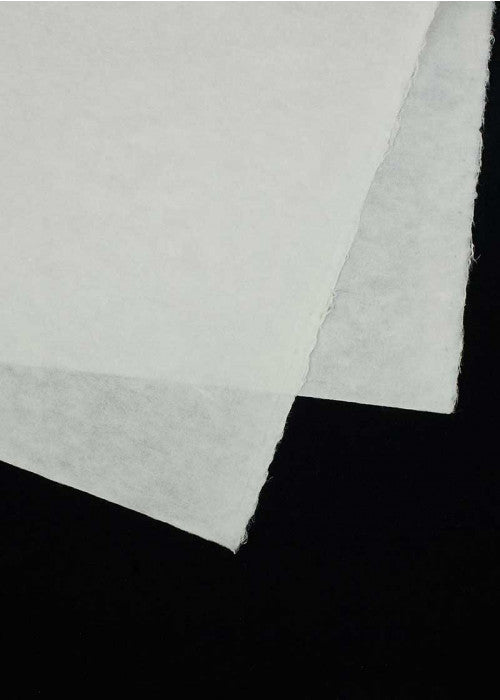 Hosokawa Student 50g
