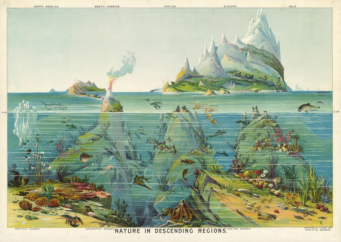 Poster Natur in absteigenden Regionen