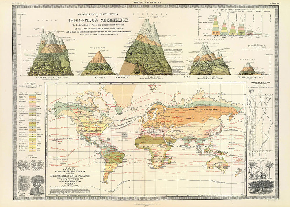 vegetations vintage world map