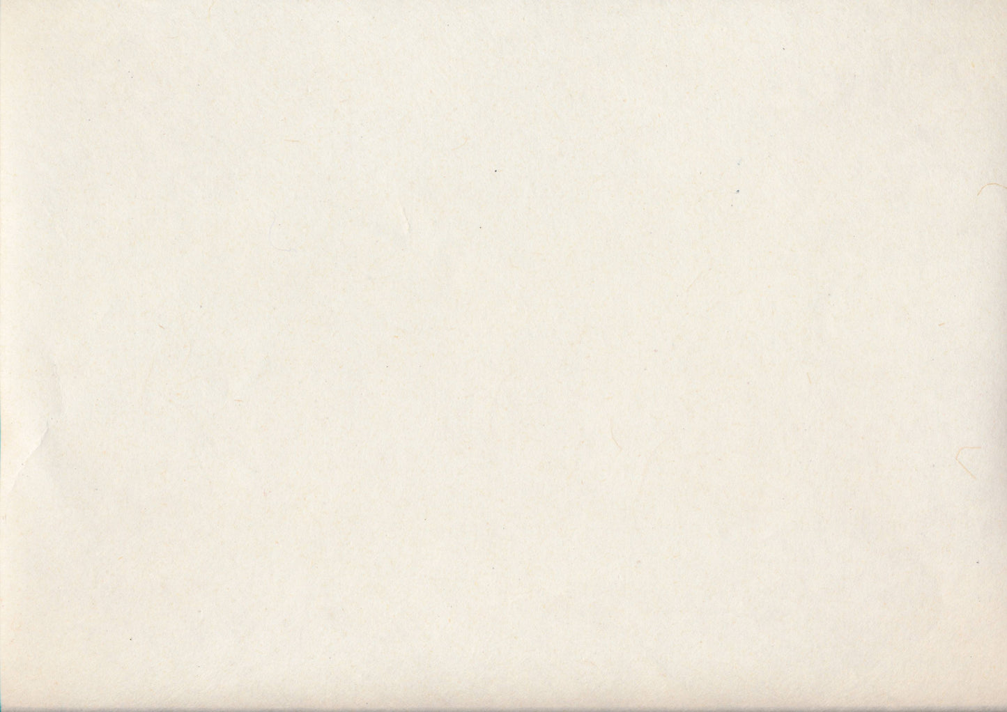 Gampi Paper
