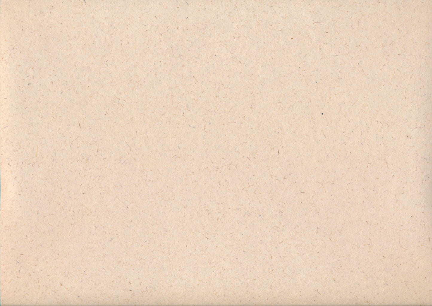 Gampi Paper