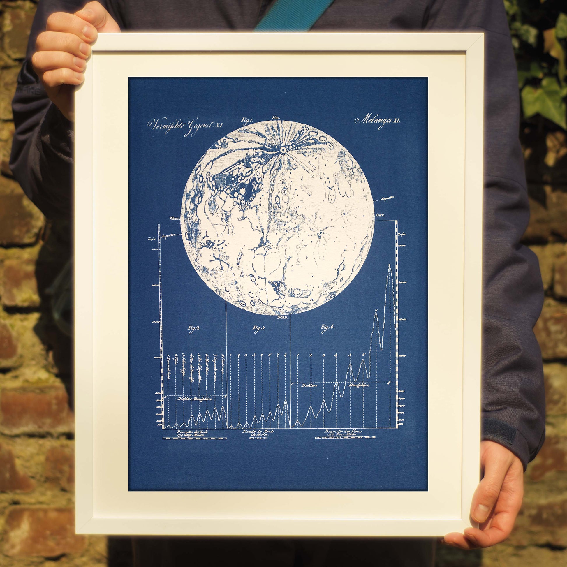 Cyanotype Astronomy - ollilypaperware