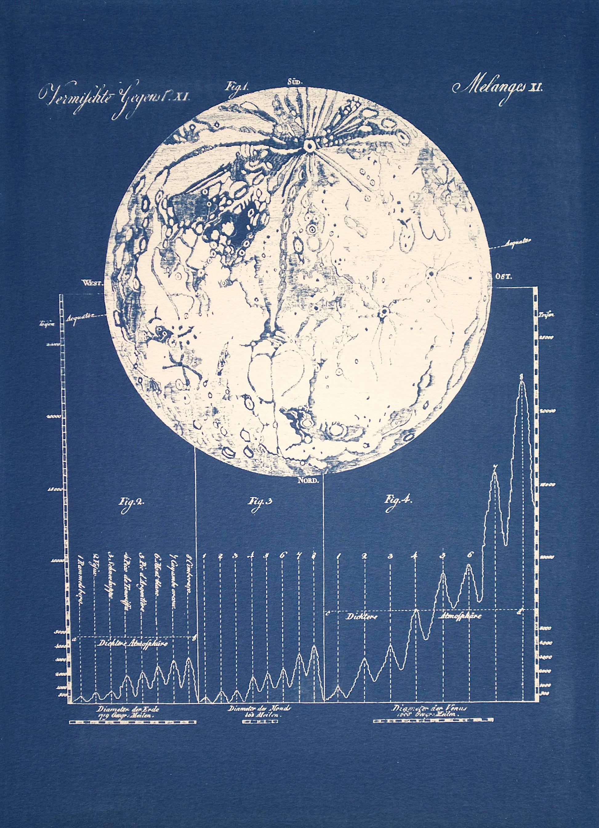 Cyanotype Astronomy - ollilypaperware