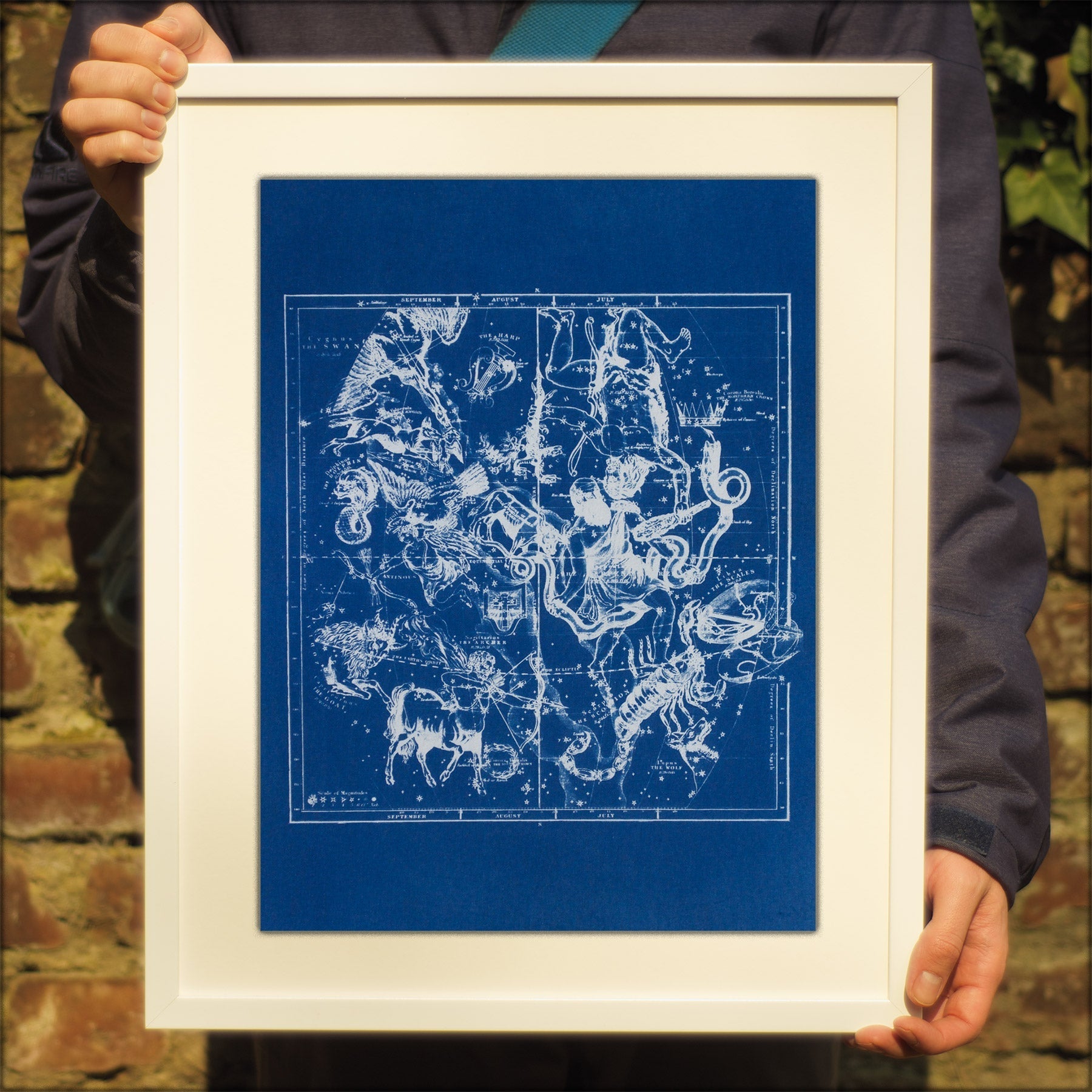 Cyanotype Astronomy - ollilypaperware