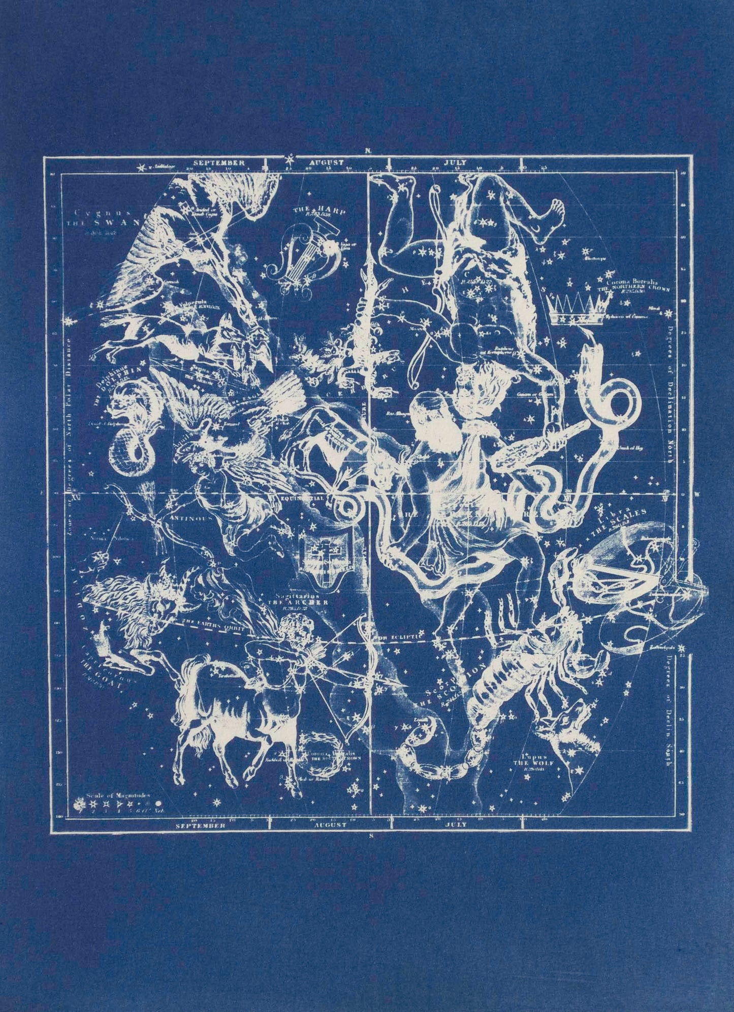 Cyanotype Astronomy - ollilypaperware