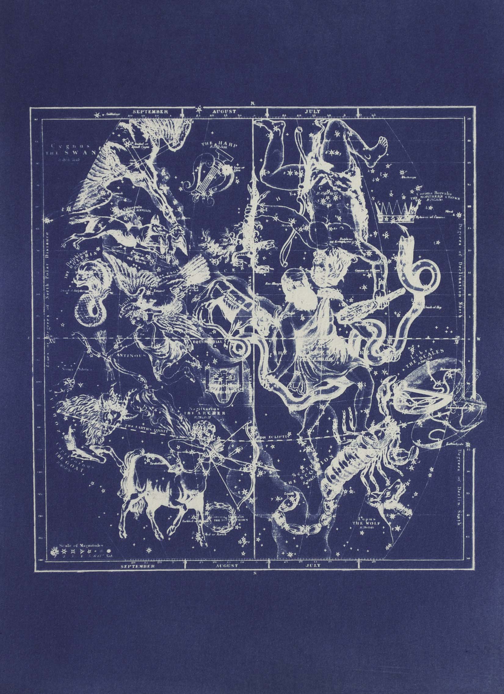 Cyanotype Astronomy - ollilypaperware