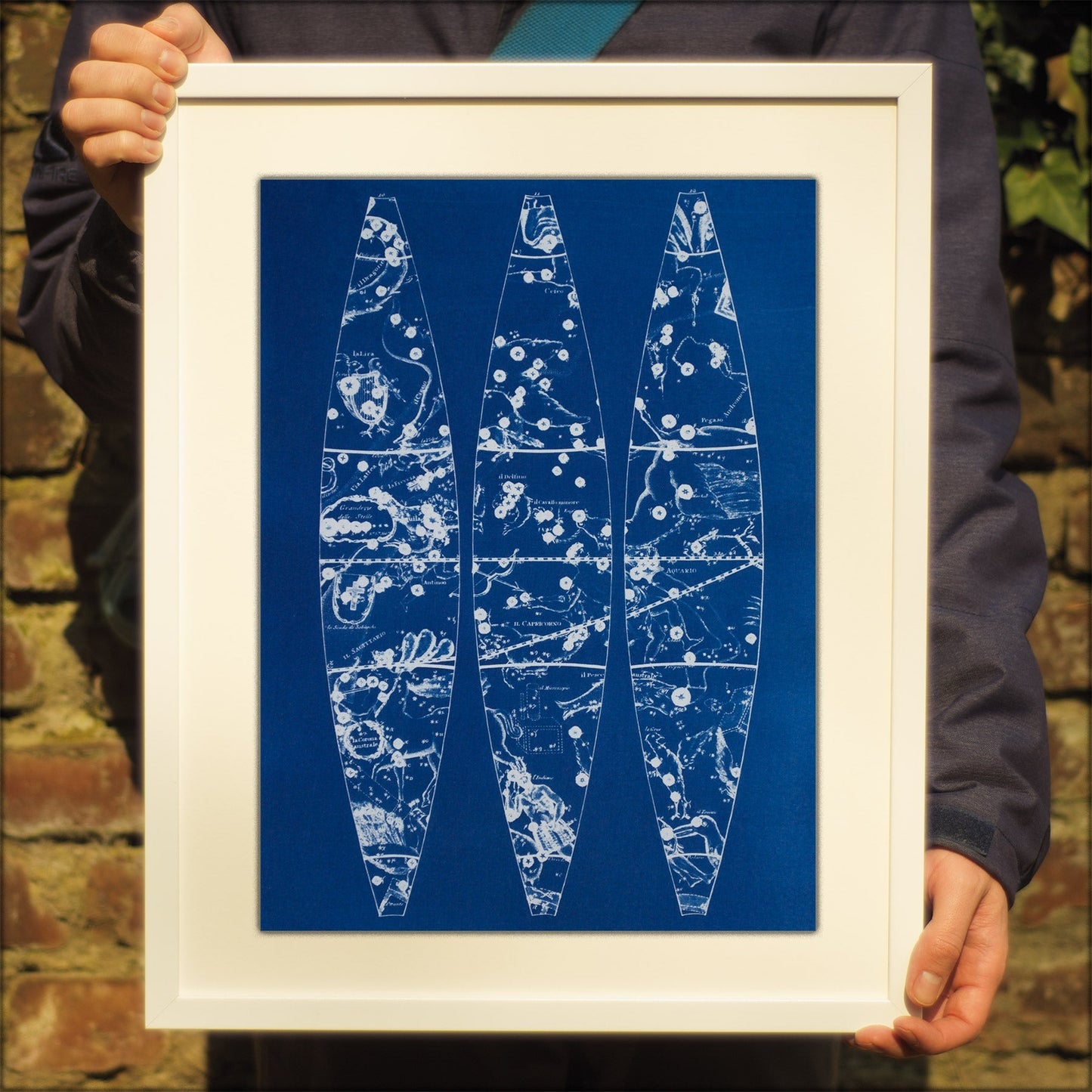 Cyanotype Astronomy - ollilypaperware