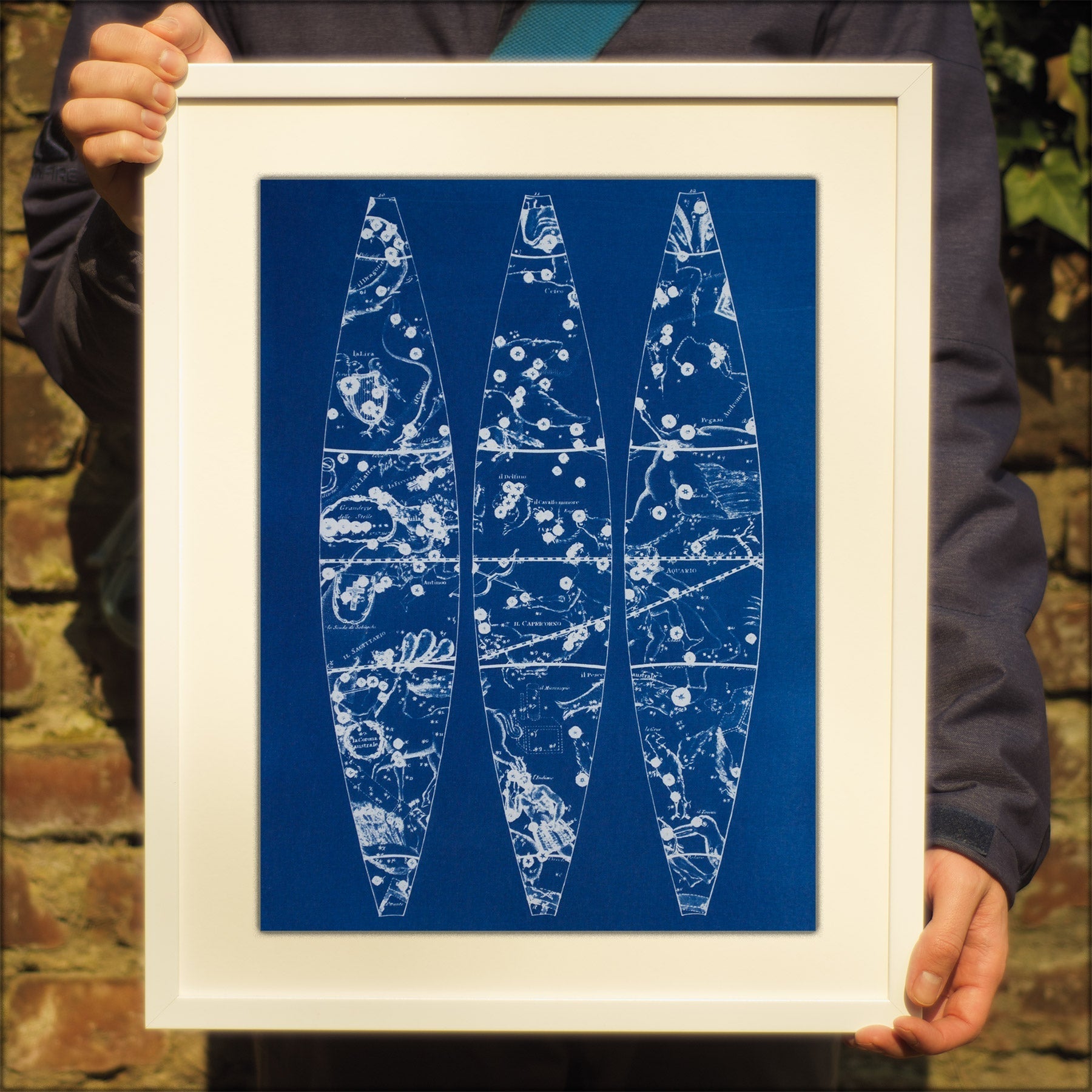 Cyanotype Astronomy - ollilypaperware