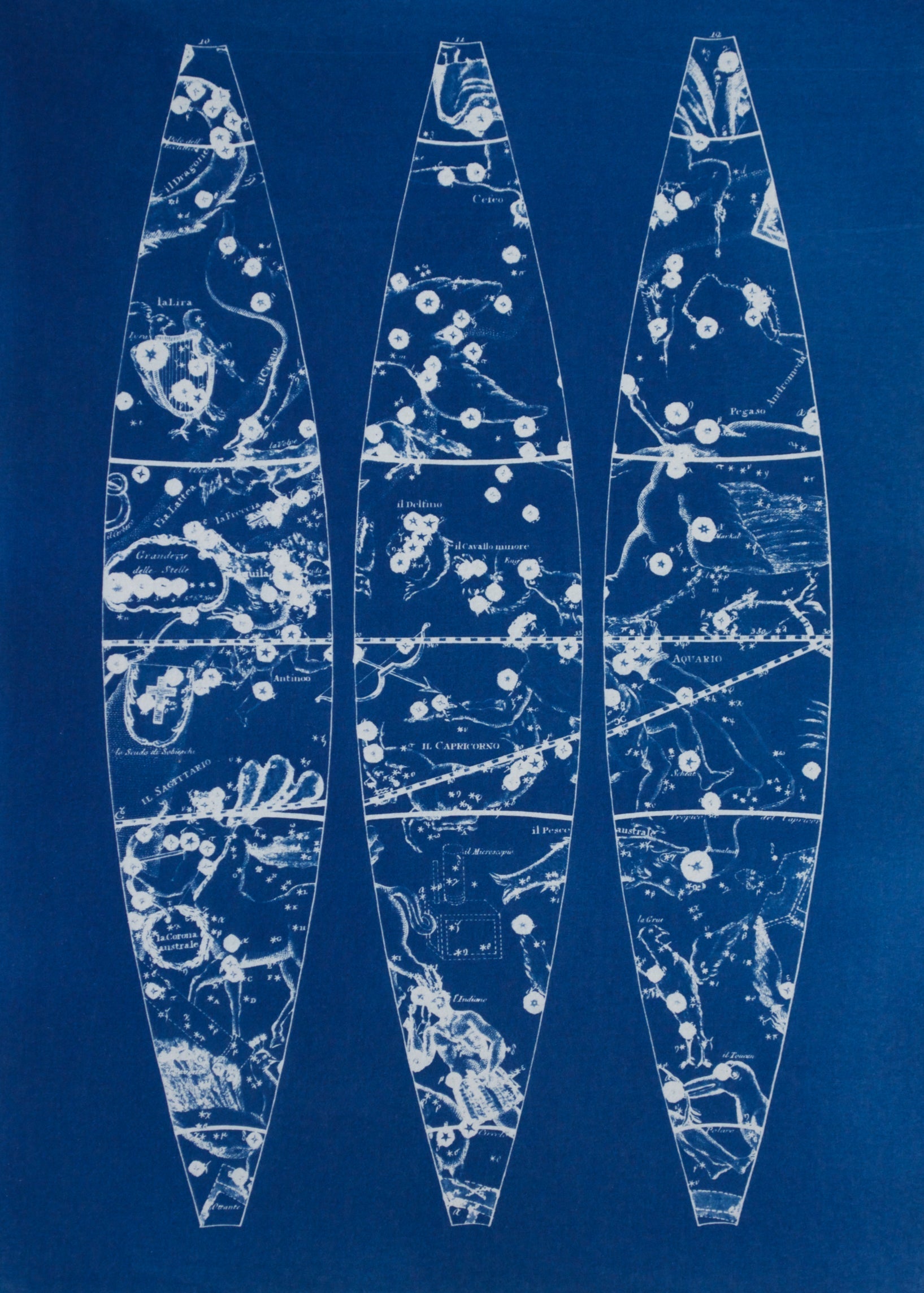 Cyanotype Astronomy - ollilypaperware