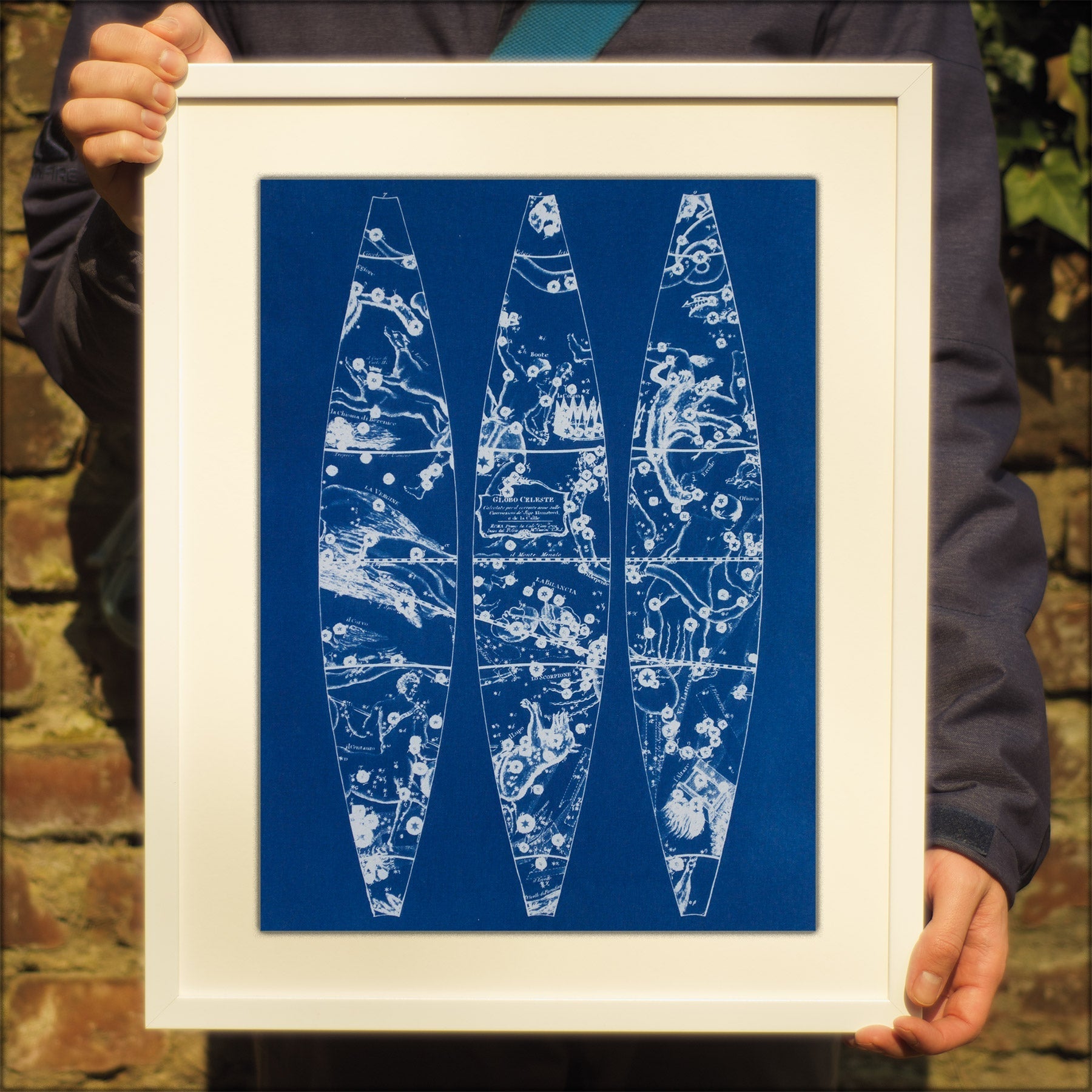 Cyanotype Astronomy - ollilypaperware
