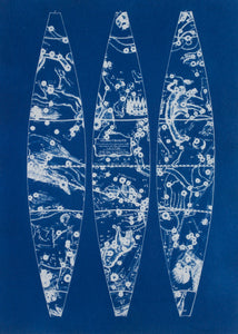 Cyanotype Astronomy - ollilypaperware