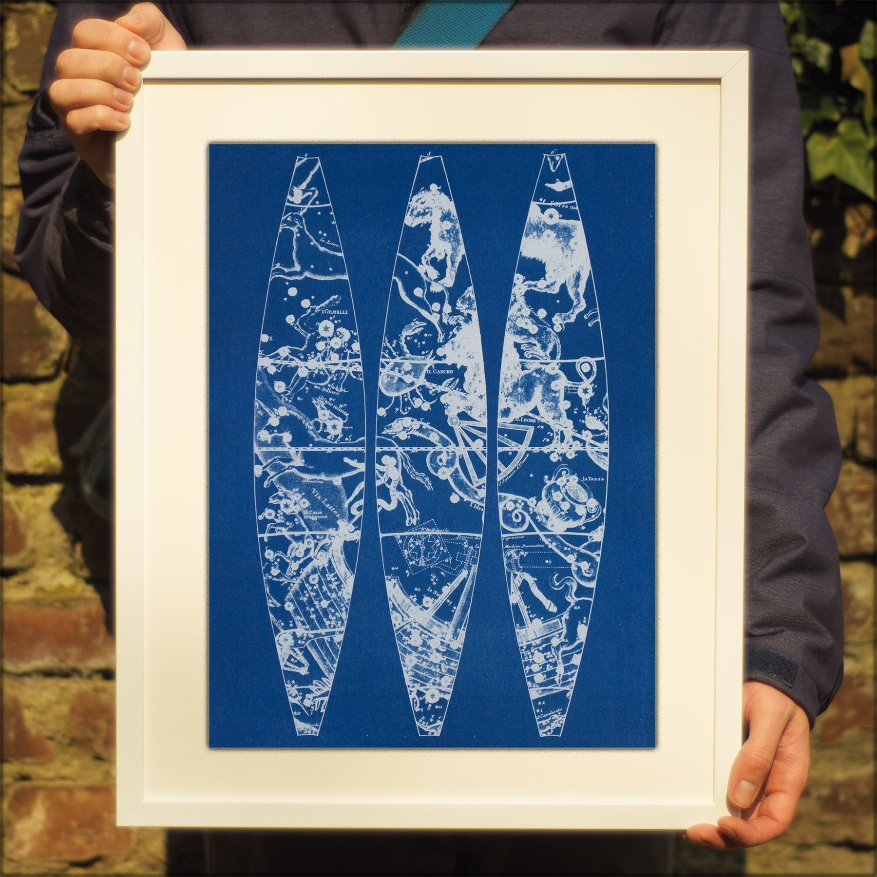 Cyanotype Astronomy - ollilypaperware