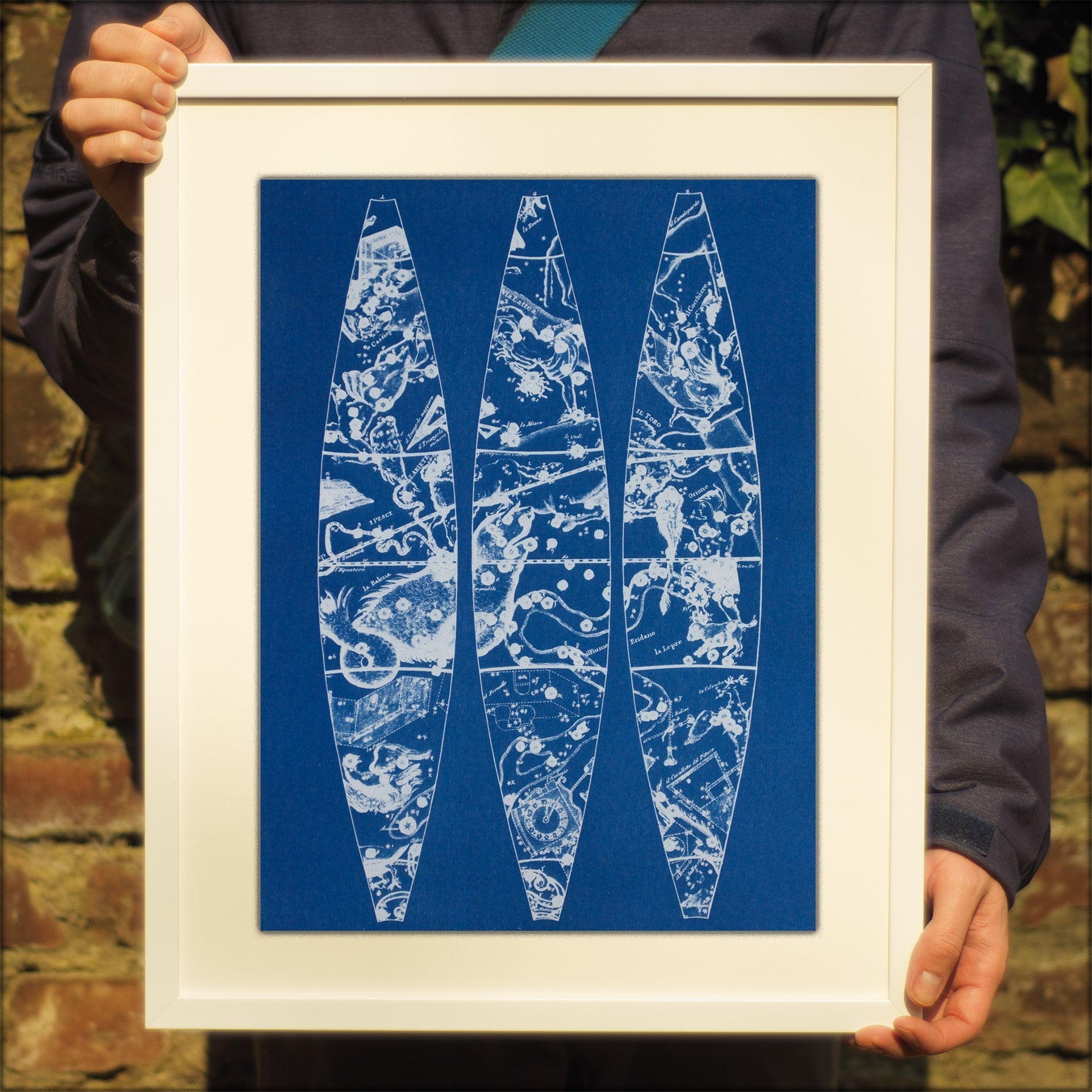 Cyanotype Astronomy - ollilypaperware