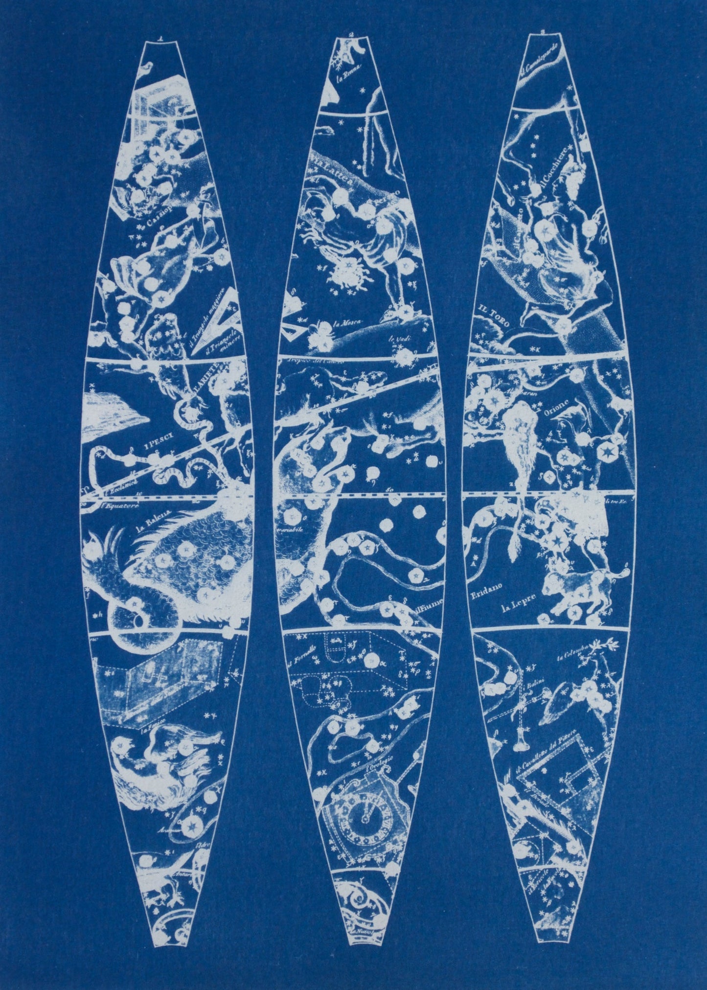 Cyanotype Astronomy - ollilypaperware