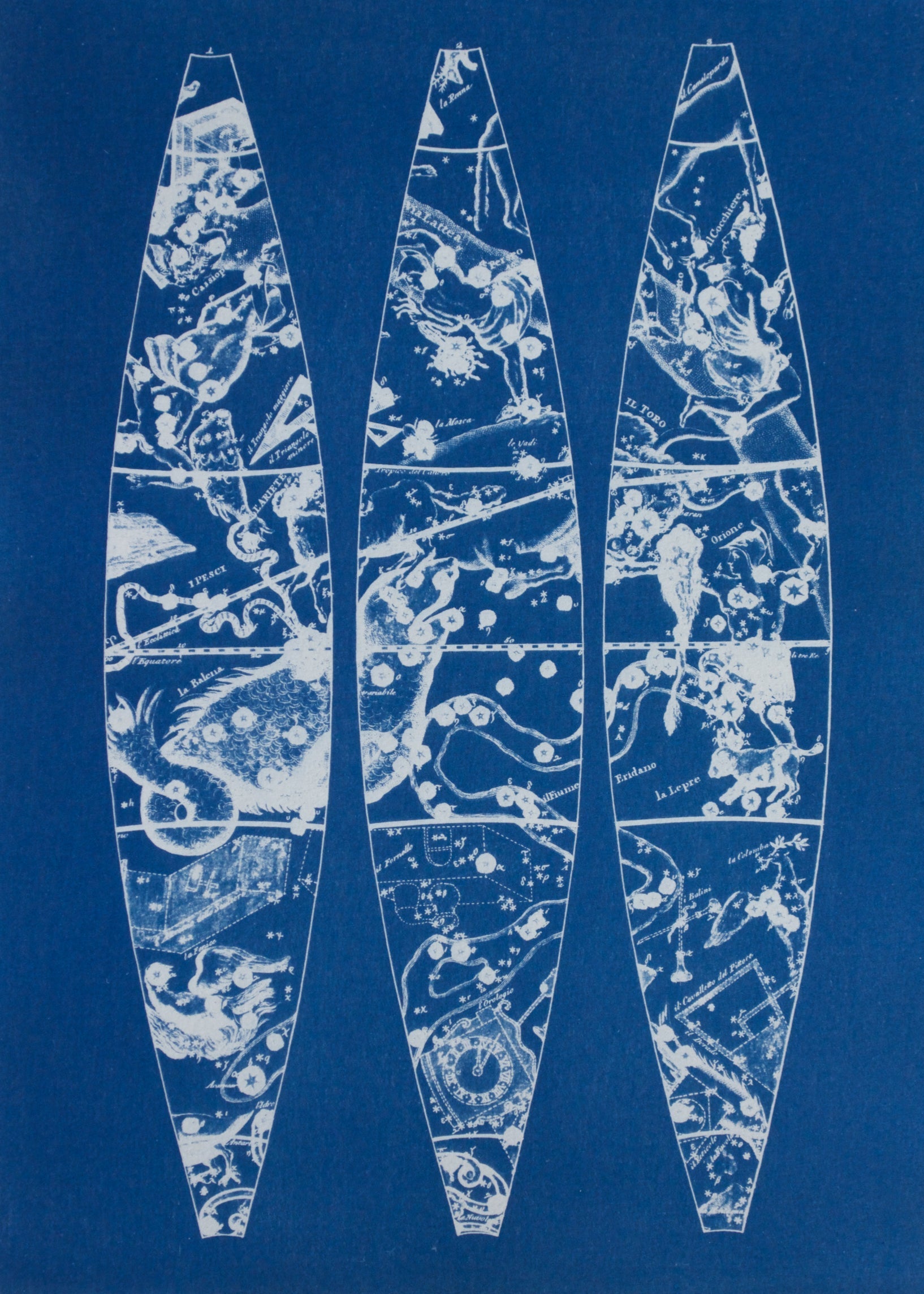 Cyanotype Astronomy - ollilypaperware