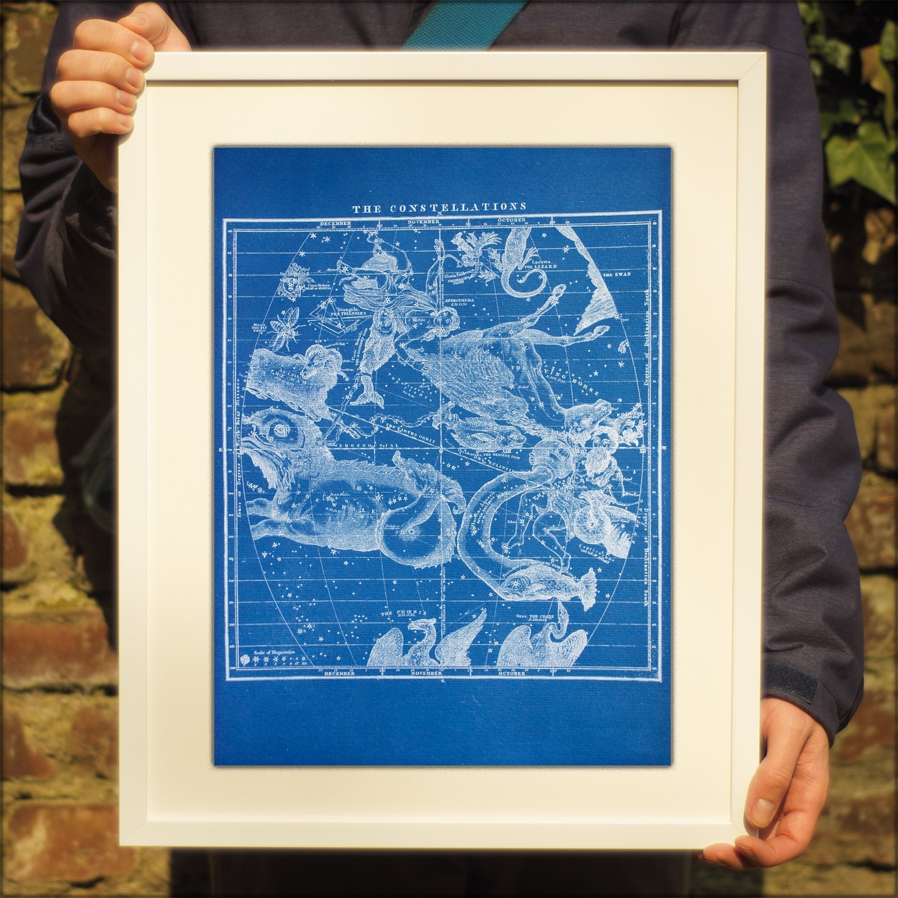 Cyanotype Astronomy - ollilypaperware