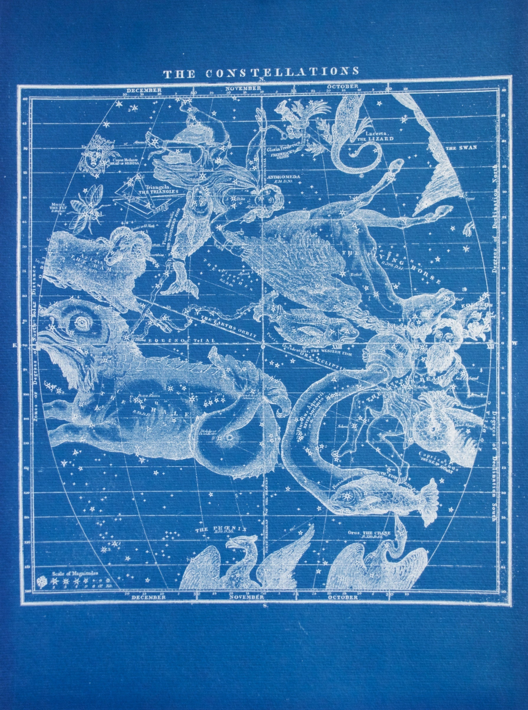 Cyanotype Astronomy - ollilypaperware