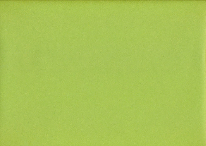Awagami Mingeishi Papier hellgrün