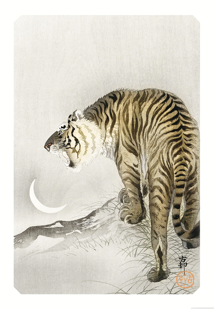 tiger poster (A3)