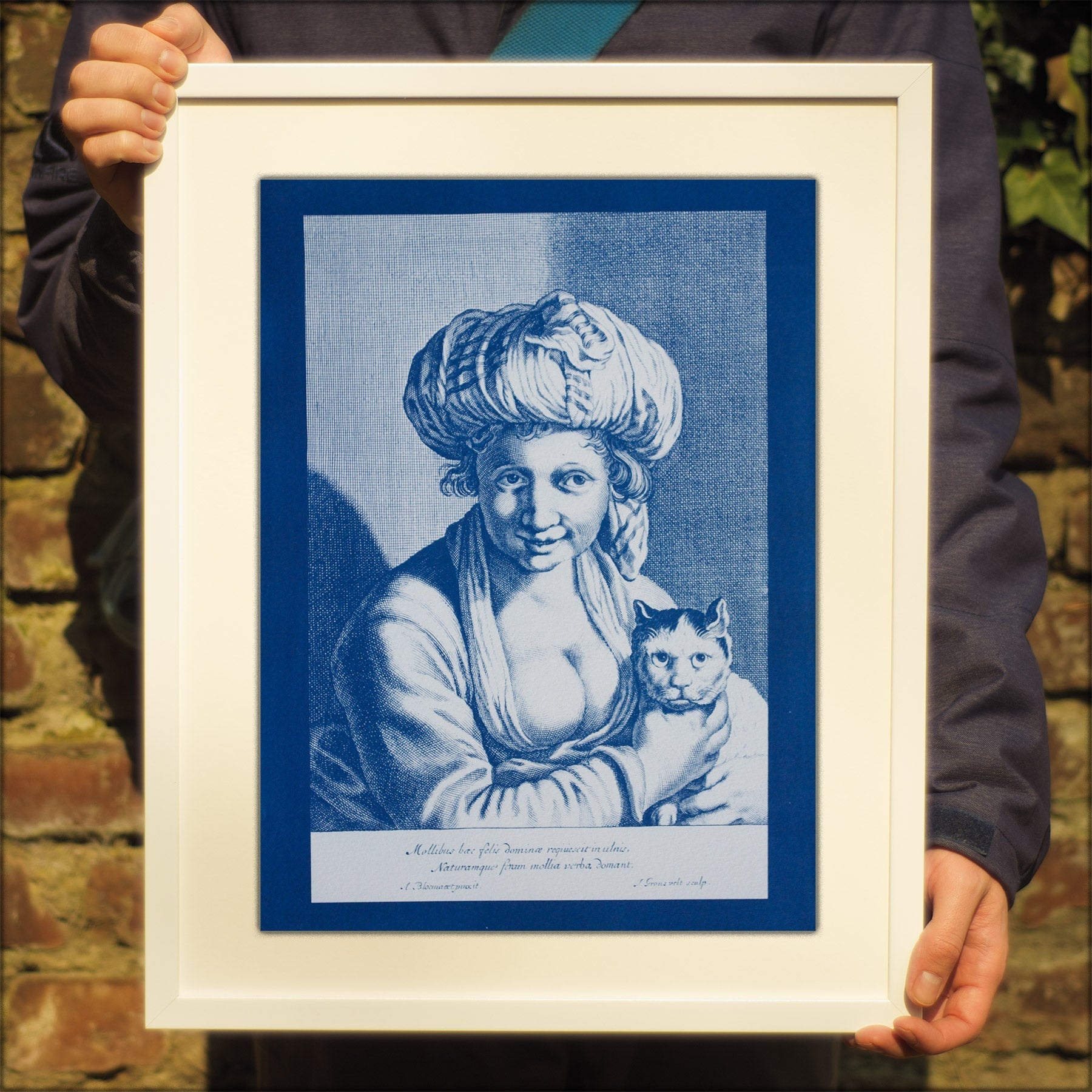 Cyanotype Cat - ollilypaperware