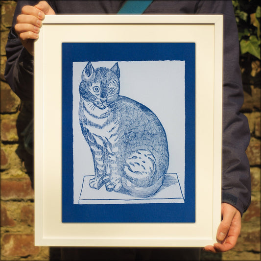 Cyanotype Cat - ollilypaperware