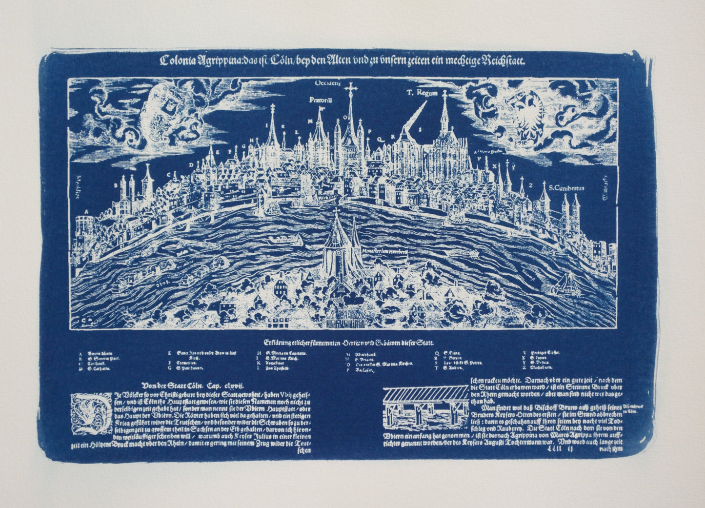 Cyanotype Cologne - ollilypaperware
