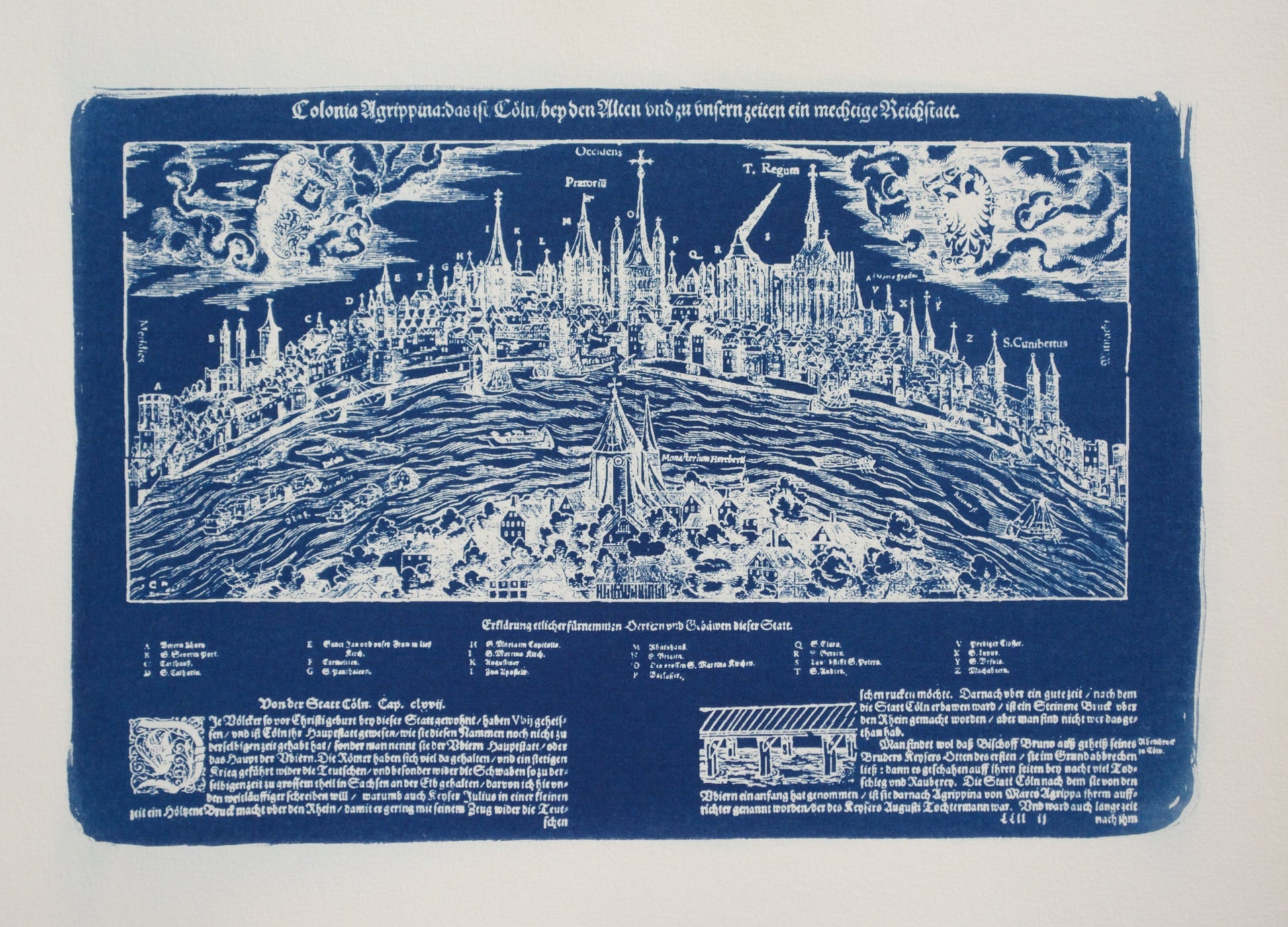 Cyanotype Cologne - ollilypaperware