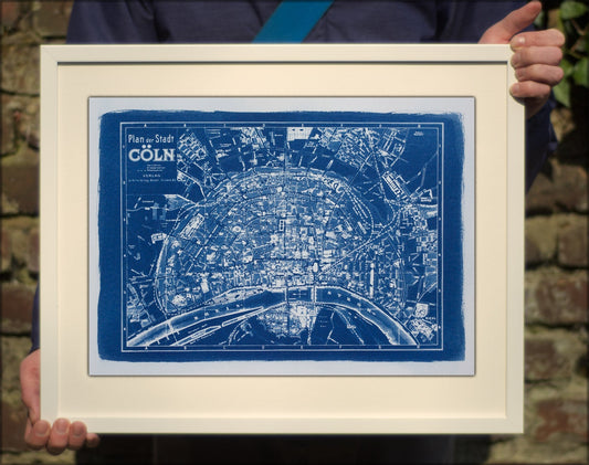 Cyanotype Cologne - ollilypaperware