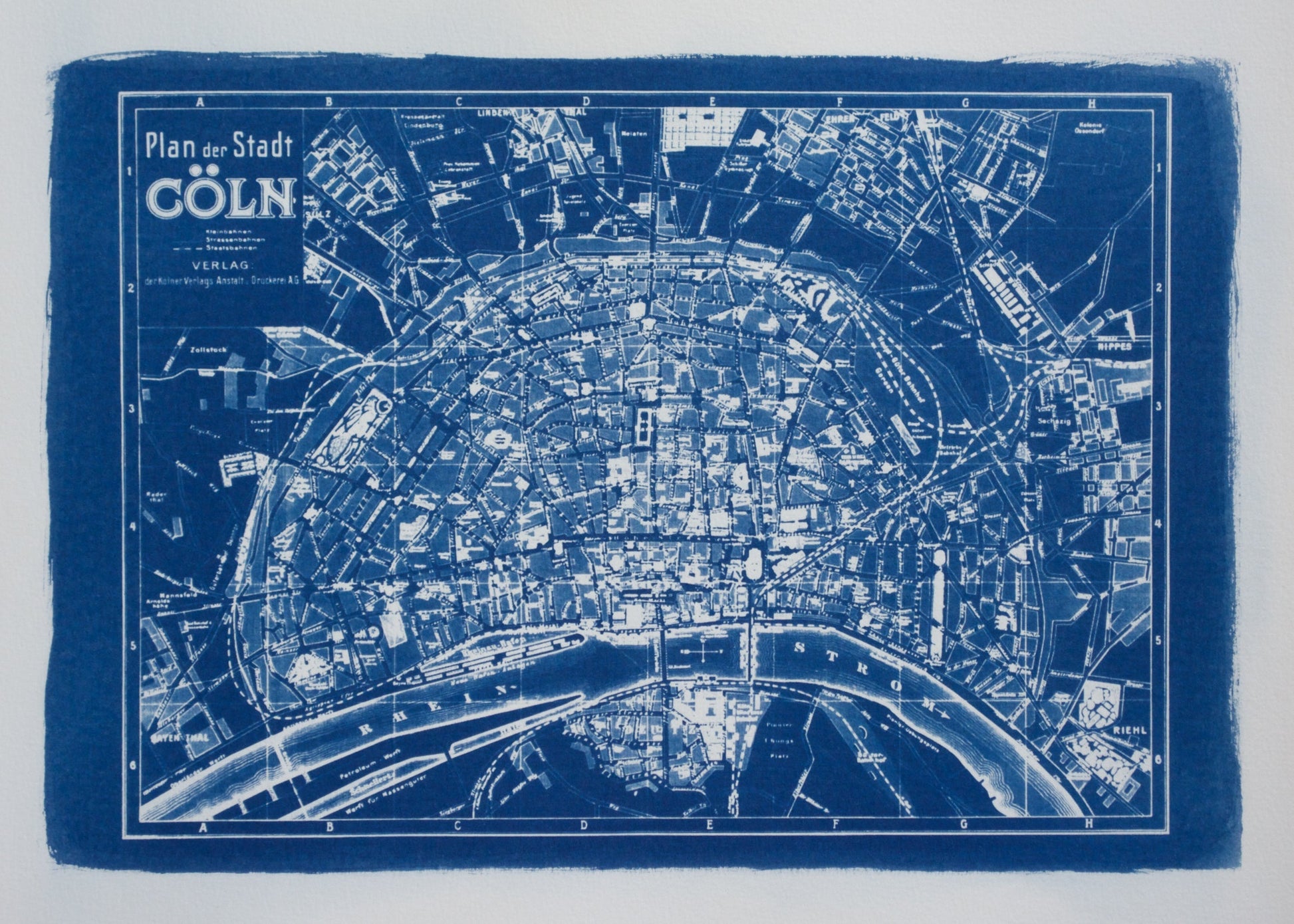 Cyanotype Cologne - ollilypaperware